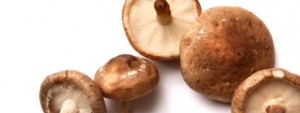 Health Benefits Shiitake Mushroom 1
