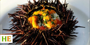 Health benefits of eating sea urchin 