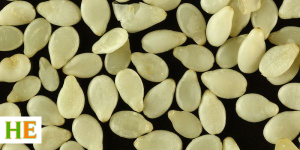 Health Benefits of Eating Sesame Seeds black
