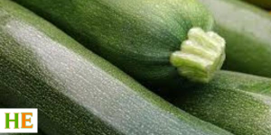 Health benefits of eating raw zucchini main