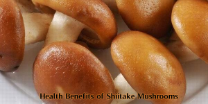 Top Health Benefits Shiitake Mushrooms