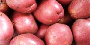 Health Benefits of Red Potatoes