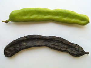 Carob