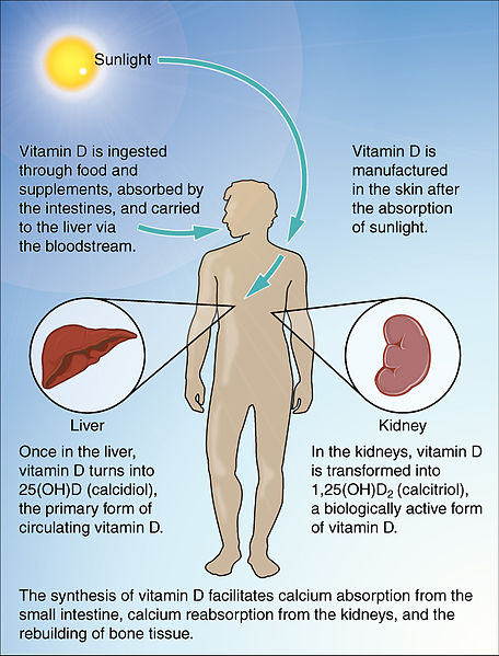 health benefits of Vitamin D