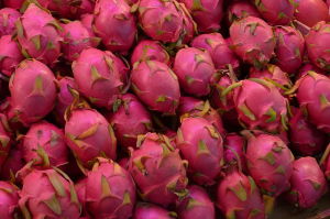 dragon fruit