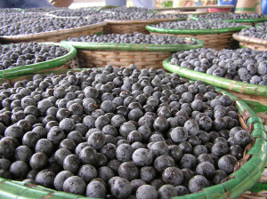 Acai Berries