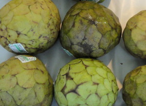 Cherimoya