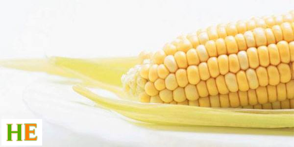 Health benefits of maize meal
