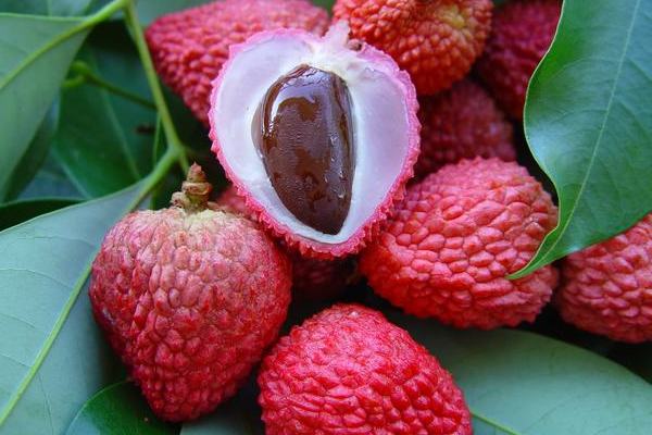 litchi fruit benefits