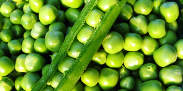 Health Benefits of Peas