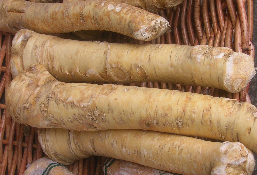 Benefits of Eating Horseradish